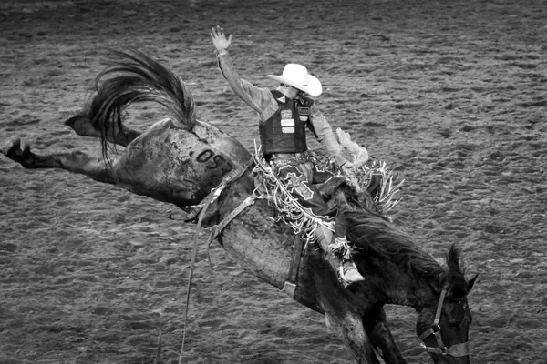Rodeo photo by Gold Lens Photography, a Dream Starter Fund recipient